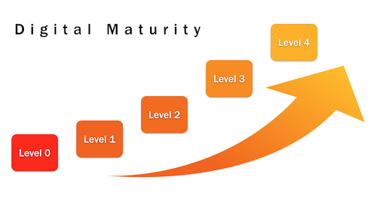 curva esponenziale fasi digital maturity.png