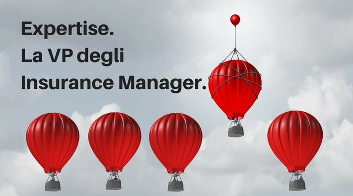 la vp degli insurance manager.jpg